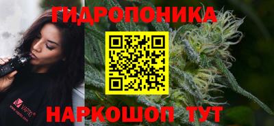наркотики Гусев