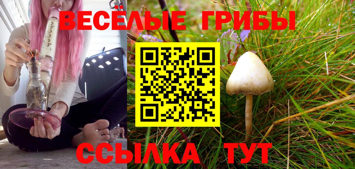 Минеральные Воды  Галлюциногенные грибы Cubensis  Галлюциногенные грибы Magic Shrooms  наркотики  Вход с VPN 